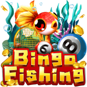 Bingo Fishing Paldo Plus app
