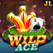 Wild Ace Paldo Plus app